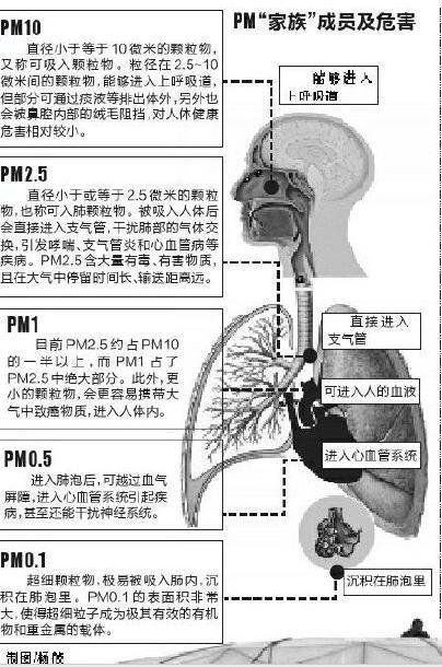 社科院等聯(lián)合發(fā)布綠皮書:霧霾影響生殖能力